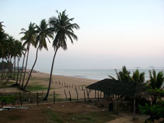 побережье Индийского океана