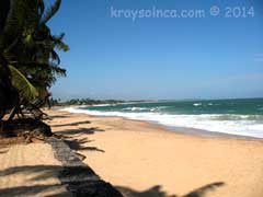 Золотой песок  на морских курортах Шри-Ланки