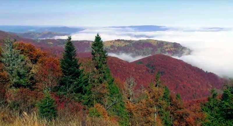 Осень в горах, Сколевские Бескиды.