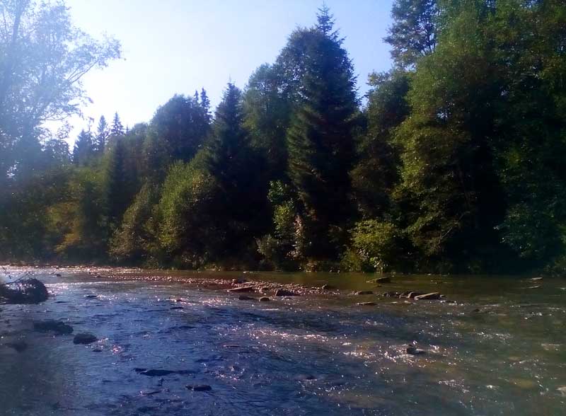 Река Прут в Ворохте.